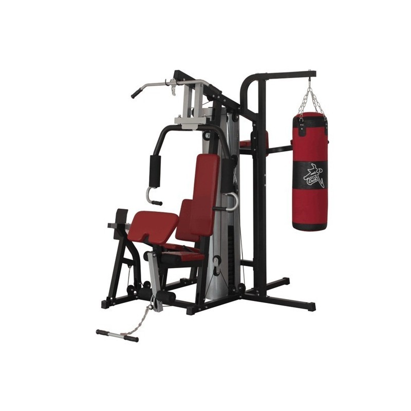 Maximize your workouts with the 4-Station Multi Gym—train multiple muscle groups at once. Ideal for families or shared spaces in home and commercial gym environments