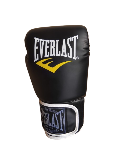 BXG-EVA Boxing Glove 14oz (GateGold Fitness) - Image 3