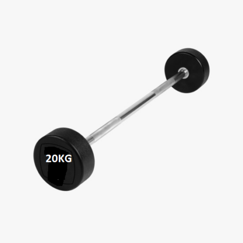 A 20kg straight barbell with black rubber-coated weight plates on each side. The barbell is made of solid steel, with a smooth metallic finish and knurled grip sections on the handle. The plates are labeled with clear "20kg" markings and are attached securely to the bar
