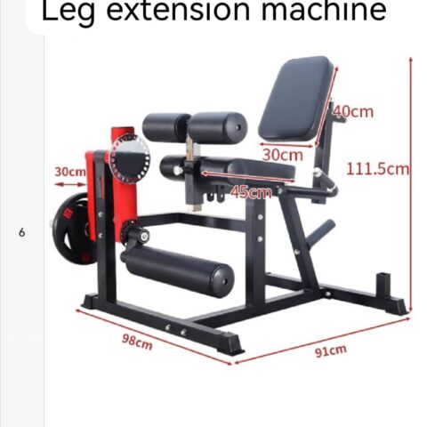 leg curl