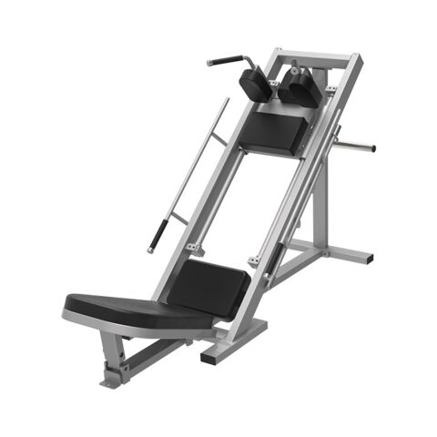 leg press