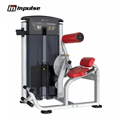 IT9532 Heavy Duty Commercial Advanced Back Extension